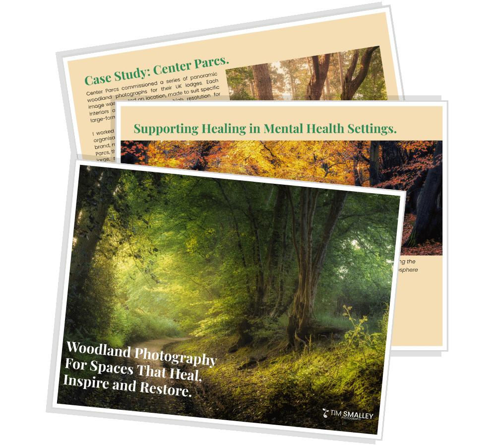 brochure-page-mockup Forest Feature Wall Murals Brochure