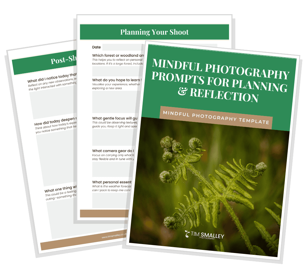 Mindful Photography Prompts Lead Magnet Ebook Mockups - Square Three overlapping photography worksheets feature a cover sheet titled Mindful Photography Prompts for Planning & Reflection with an image of a fern. The other sheets, labelled Planning Your Shoot and Post-Shoot, contain prompts and questions to guide photographers in planning and reflecting.