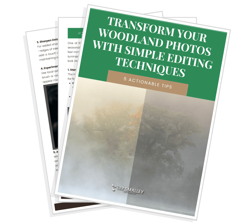 1 A pile of documents with the top page titled Transform Your Woodland Photos with Simple Editing Techniques. The page features a green header and an image of a misty forest. The subtitle reads 5 Actionable Tips, and the author's name, Tim Smalley, is at the bottom.