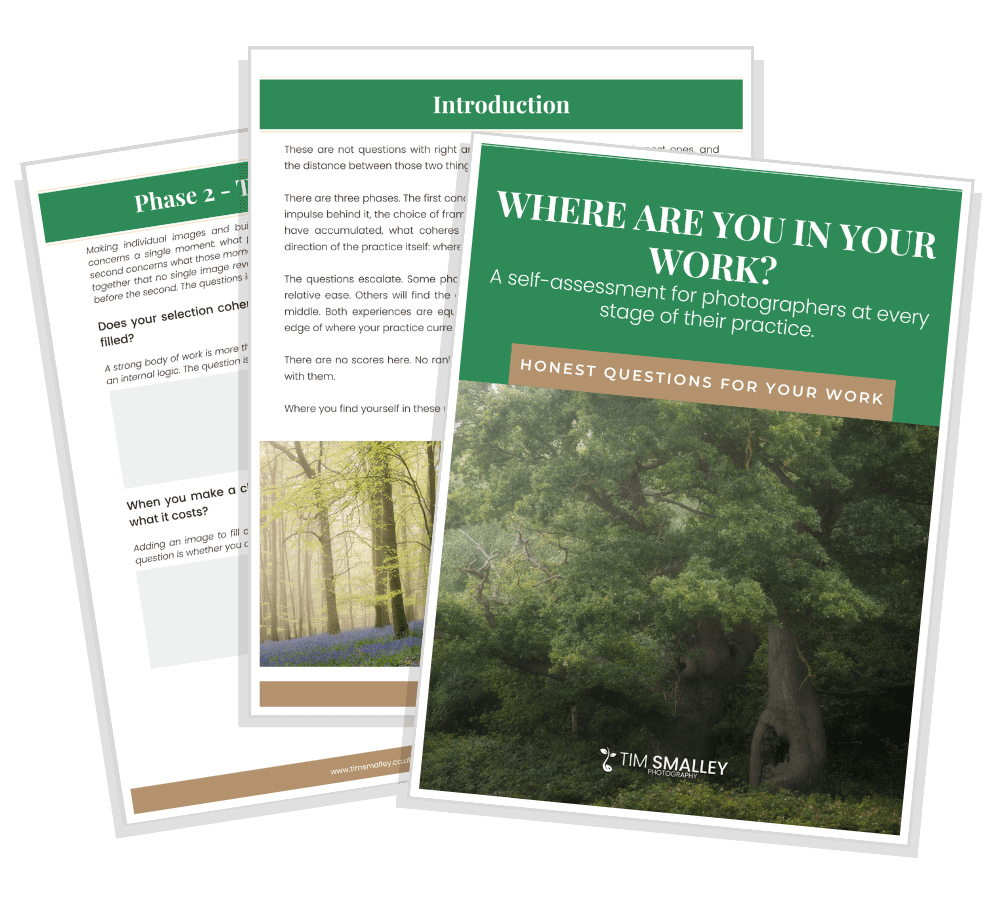 Where Are You In Your Work? Mockup Three overlapping pages of a photography self-assessment guide; the cover has a large green tree, title, tan box, and forest image.