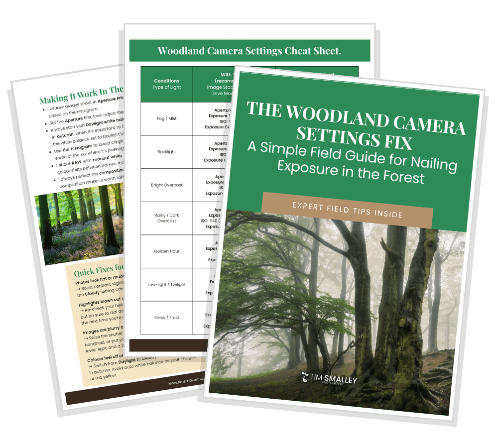 2 Three field guide pages are displayed. The cover reads, “The Woodland Camera Settings Fix: A Simple Field Guide for Nailing Exposure in the Forest.” The other pages include camera setting tips, a cheat sheet, and a photograph of a forest with tall green trees.