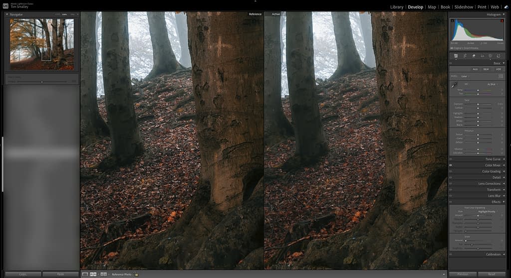 A photo editing software interface displays a split view of a misty forest scene with sturdy tree trunks and autumn leaves—perfect for refining your woodland photo editing workflow. The left panel shows image thumbnails, while the right contains editing tools, sliders, and a histogram.