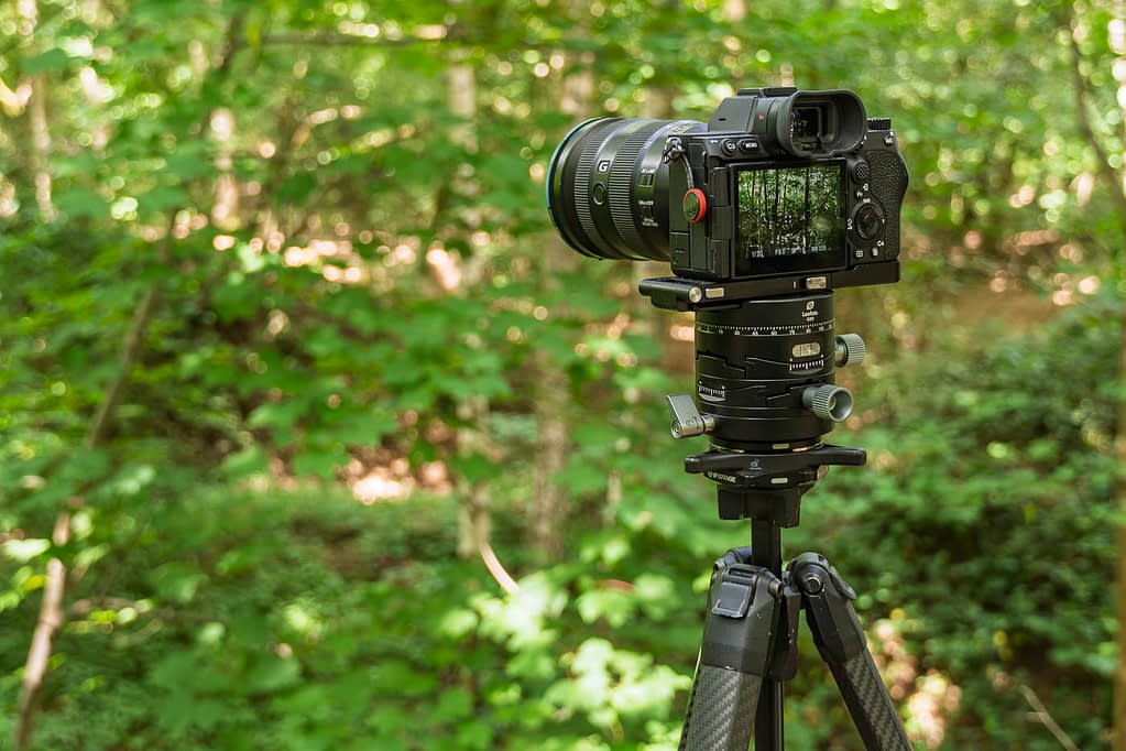 A digital camera mounted on the best tripod for woodland photography stands in a green, sunlit forest. The camera’s screen displays a sharp image of the trees ahead, with the sturdy tripod in the foreground and lush foliage filling the background.