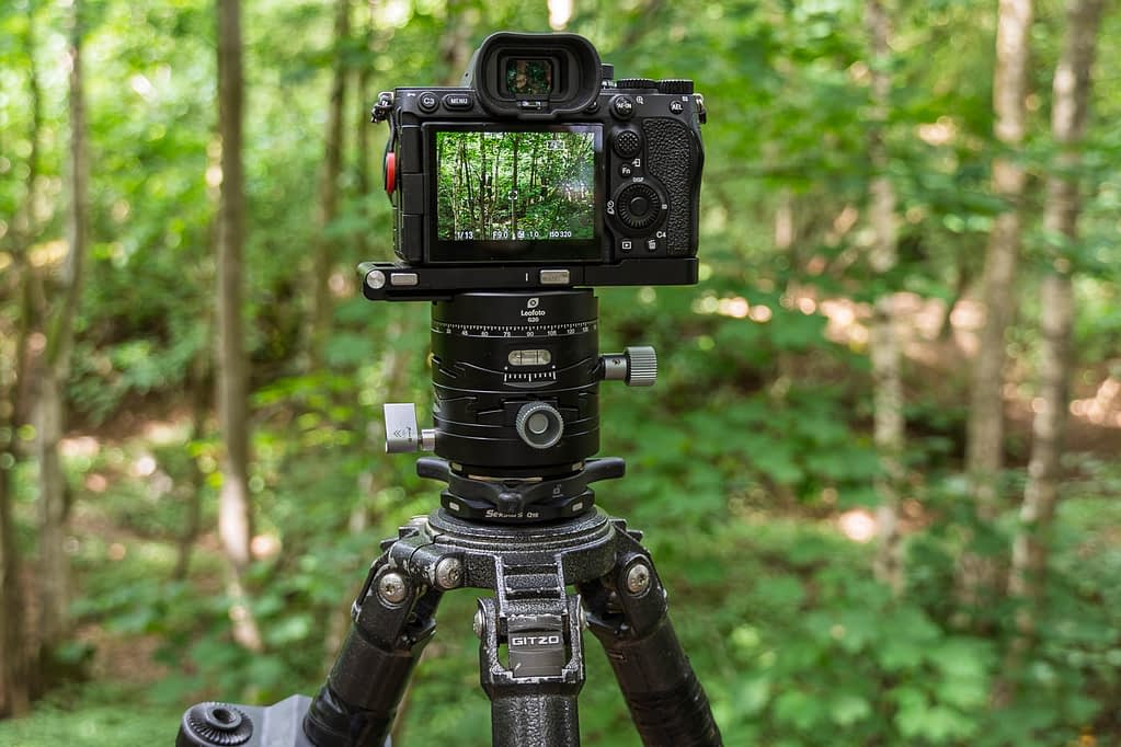 A digital camera mounted on a tripod—one of the best tripods for woodland photography—is pointed at a dense, green forest. The Gitzo tripod stands steady in the natural daylight, capturing a sharp image of the vibrant trees on its screen.