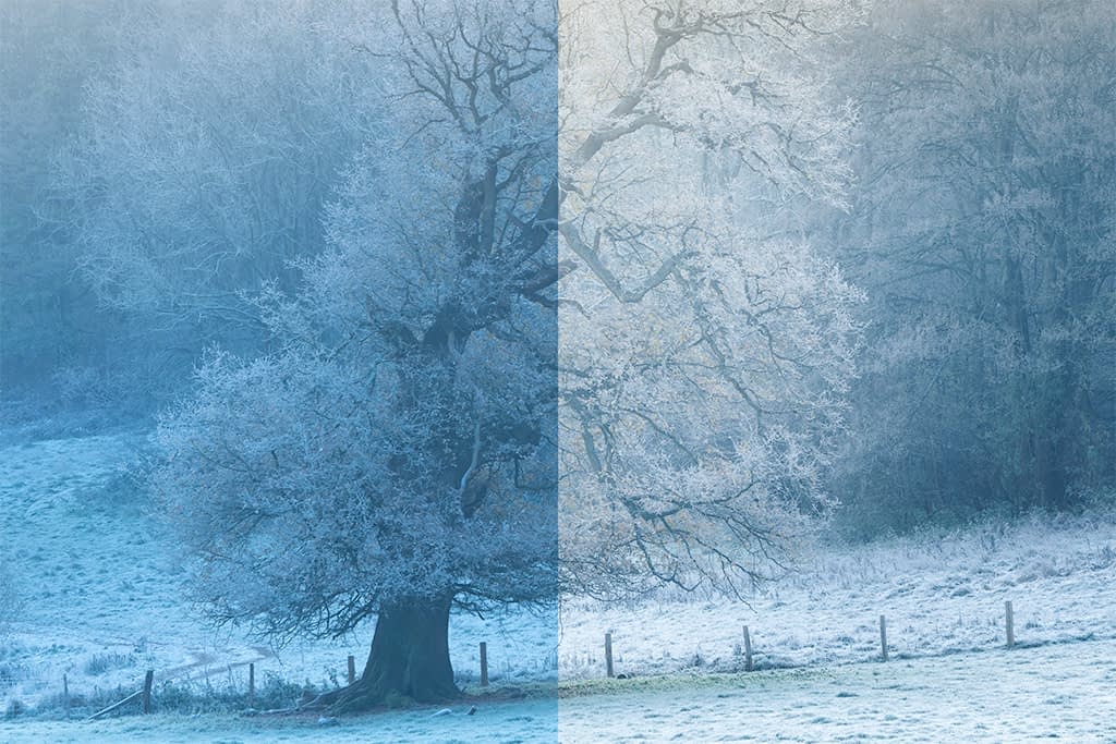 homepage-before-after A large, frost-covered tree stands in a winter landscape, split down the middle; the left side has a blue tint and appears darker, while the right side is lighter with a pale, almost yellowish tone. The snowy ground and distant trees can be seen in the background.