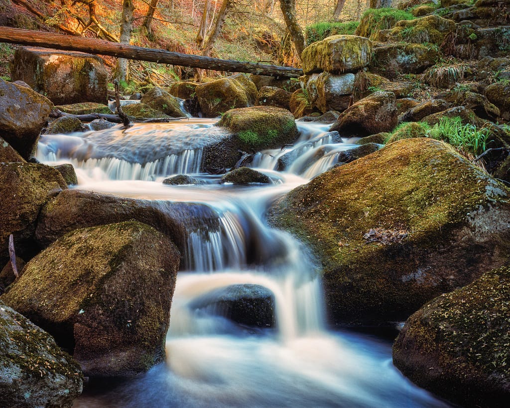 A tranquil woodland scene with a cascading stream flowing over moss-covered rocks. Sunlight filters through the trees, casting a warm glow on the water and lush greenery. A fallen log forms a bridge across the stream above, adding to the serene and natural atmosphere.