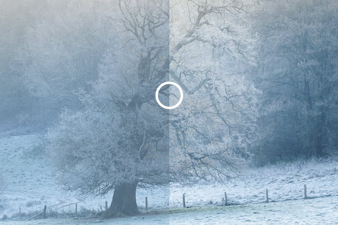 Screenshot 2025-05-05 at 22.44.03 A wintry landscape featuring a large tree in a snow-covered field. The image is divided vertically down the centre, with the left side appearing cooler and less vibrant, while the right side is brighter and more colourful. A white circle sits at the centre of the divide.