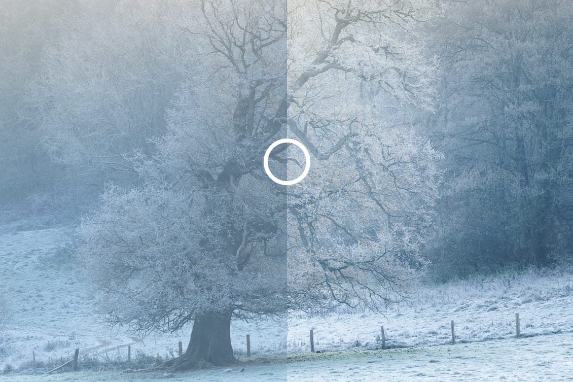 Screenshot 2025-05-05 at 22.44.03 A wintry landscape featuring a large tree in a snow-covered field. The image is divided vertically down the centre, with the left side appearing cooler and less vibrant, while the right side is brighter and more colourful. A white circle sits at the centre of the divide.