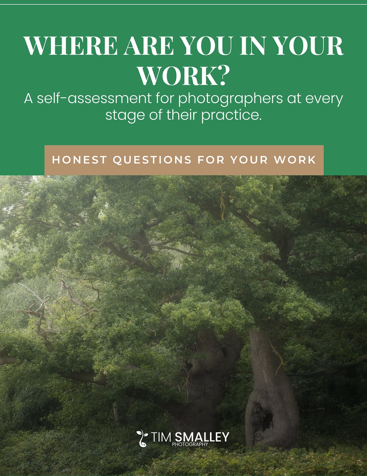Where Are You In Your Work? Cover page. The cover page for Where Are You In Your Work, a free guided self-assessment from Tim Smalley