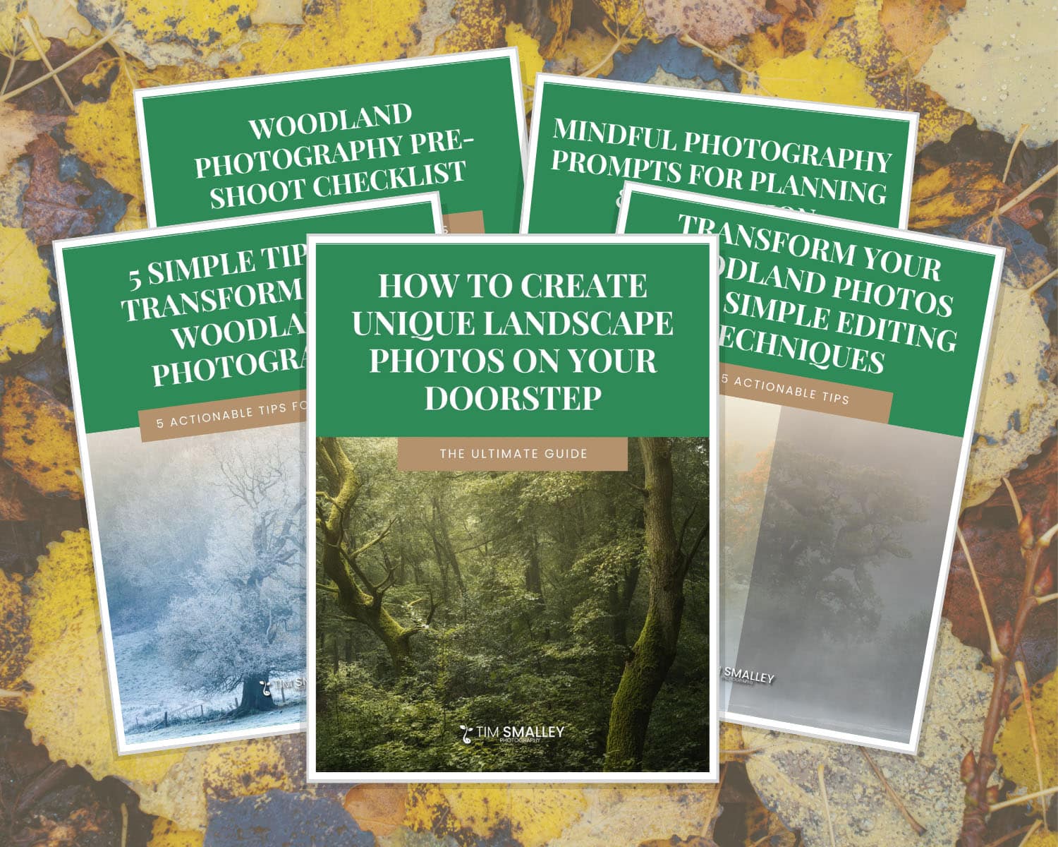 Homepage Resources Mockup Five photography guidebooks with green covers are fanned out against a backdrop of autumn leaves. The central book, “How to Create Unique Landscape Photos on Your Doorstep”, is surrounded by four other guidebooks offering tips on woodland and mindful photography.