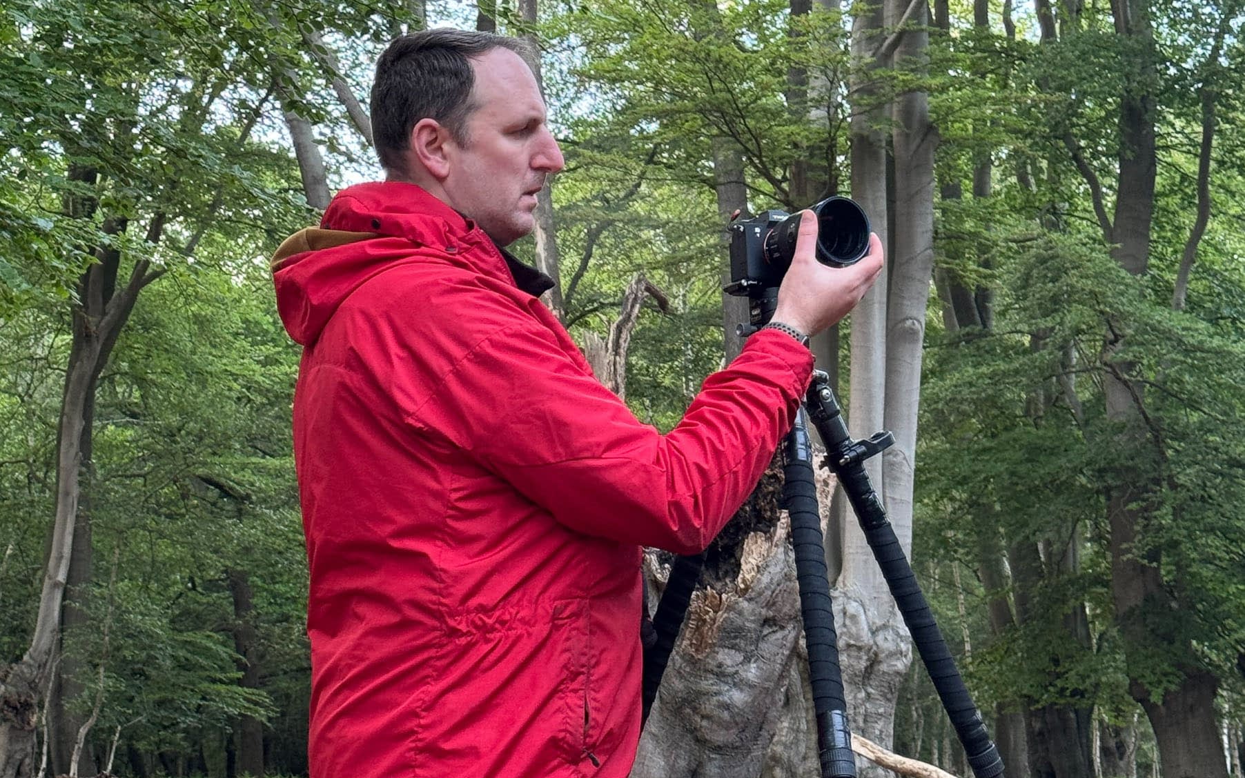 IMG_9999-hp Professional Woodland Photographer Tim Smalley adjusts his camera on a tripod in a forest filled with tall trees and blooming bluebells, as soft sunlight filters through the greenery.