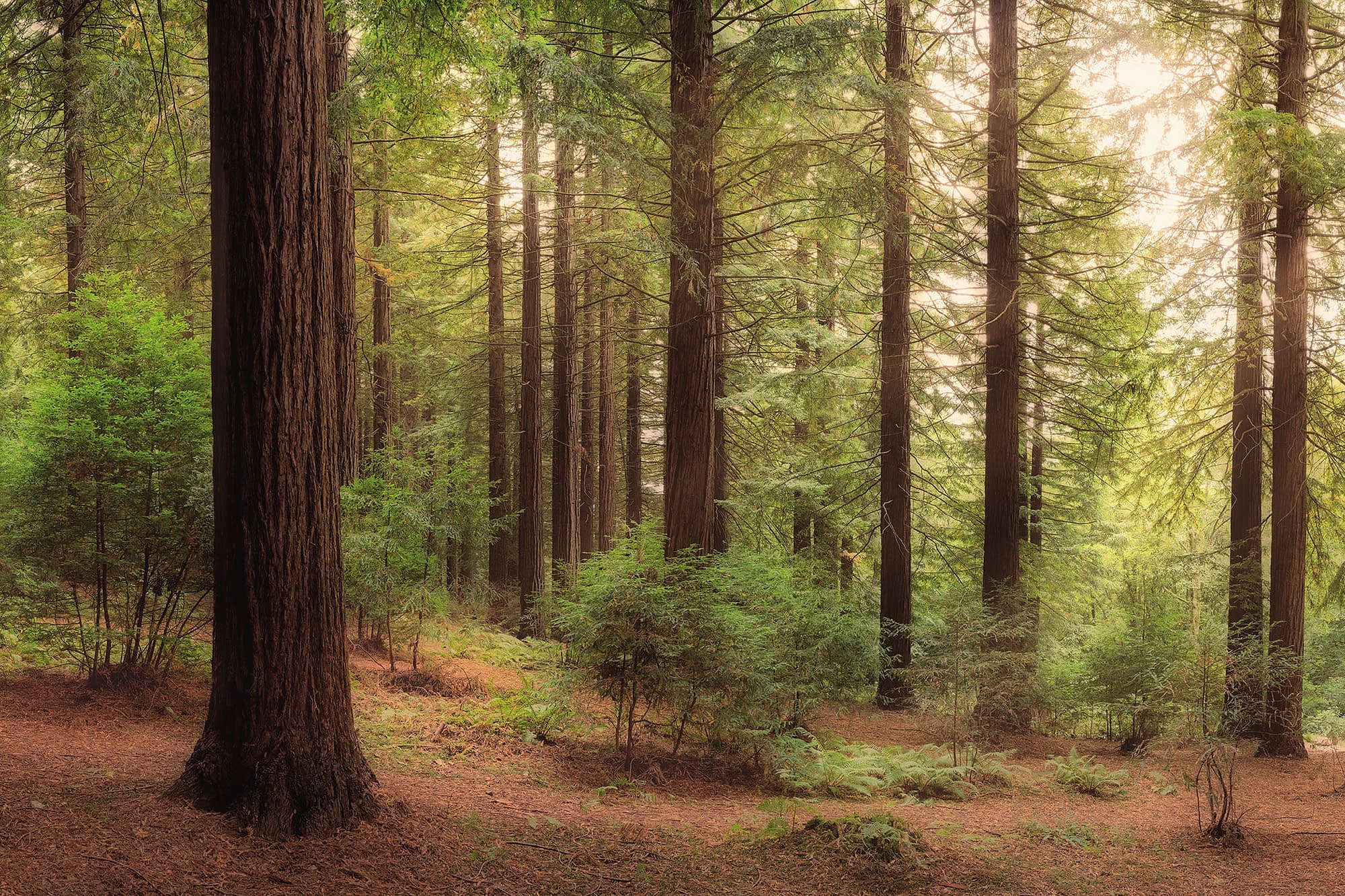 Longleat_center-parcs-crop