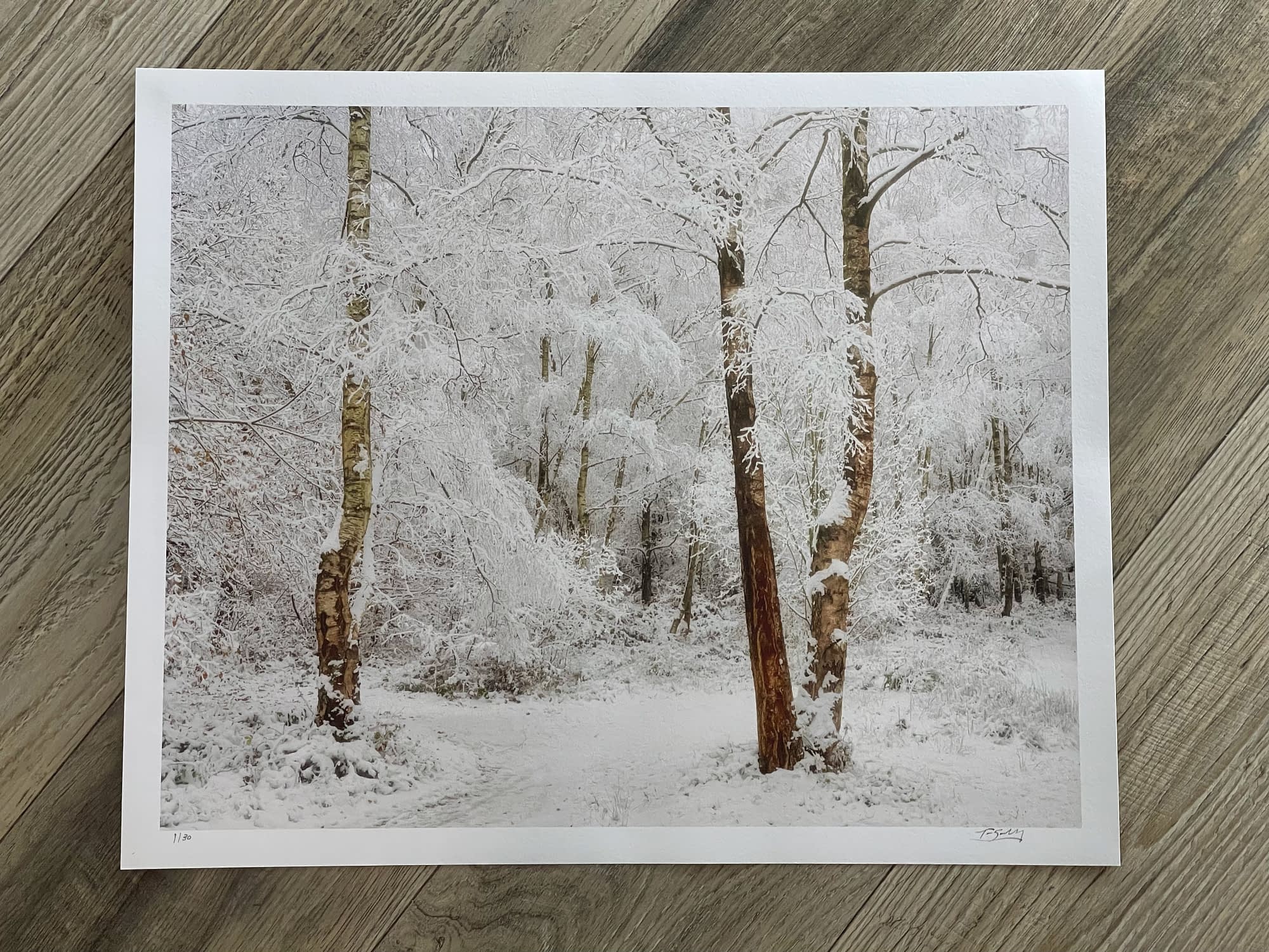 Four Seasons I - Winter