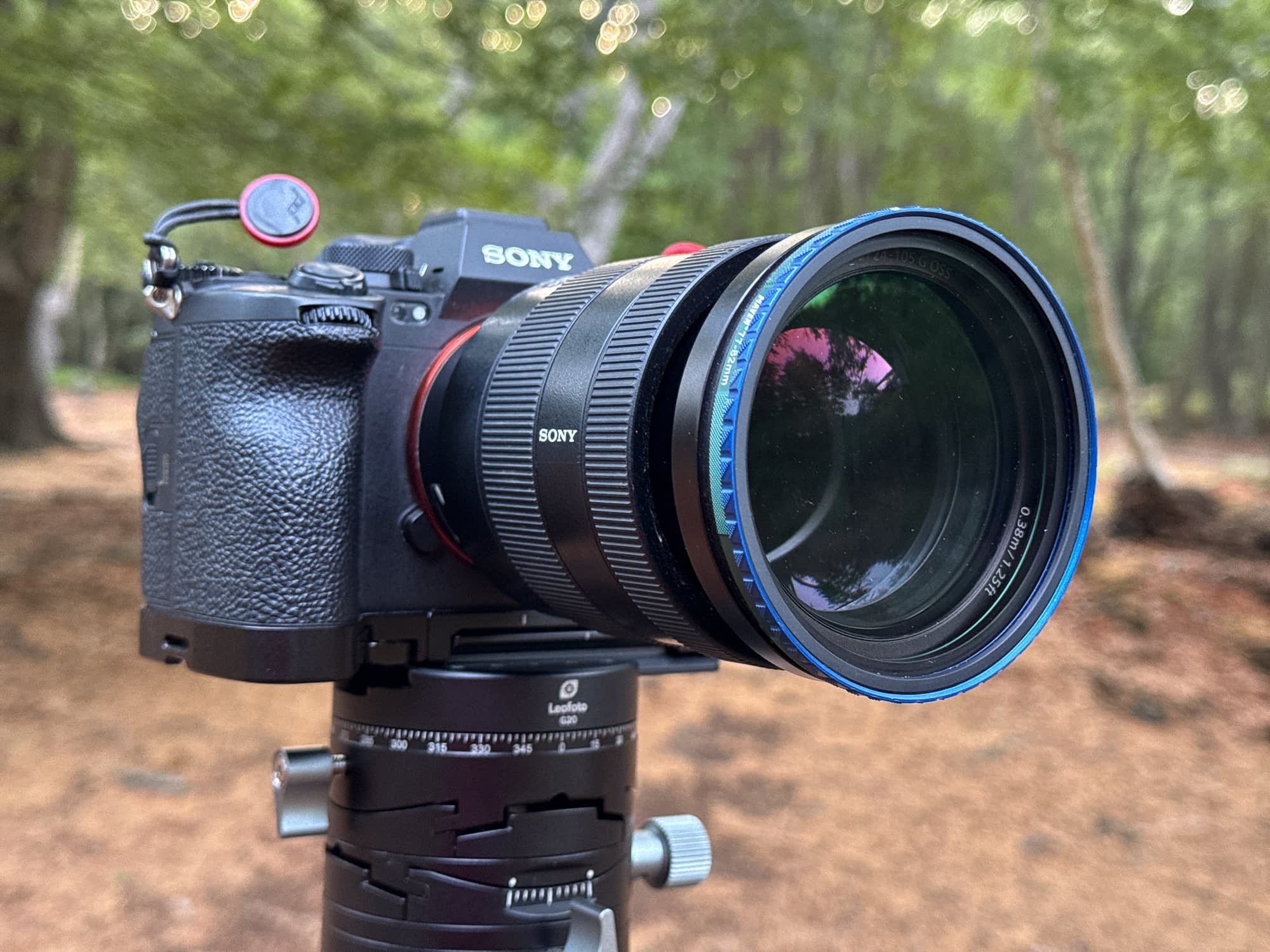 Close-up of a Sony digital camera with large lens and hood on a tripod outdoors; trees and brown-leaf forest floor in the background.