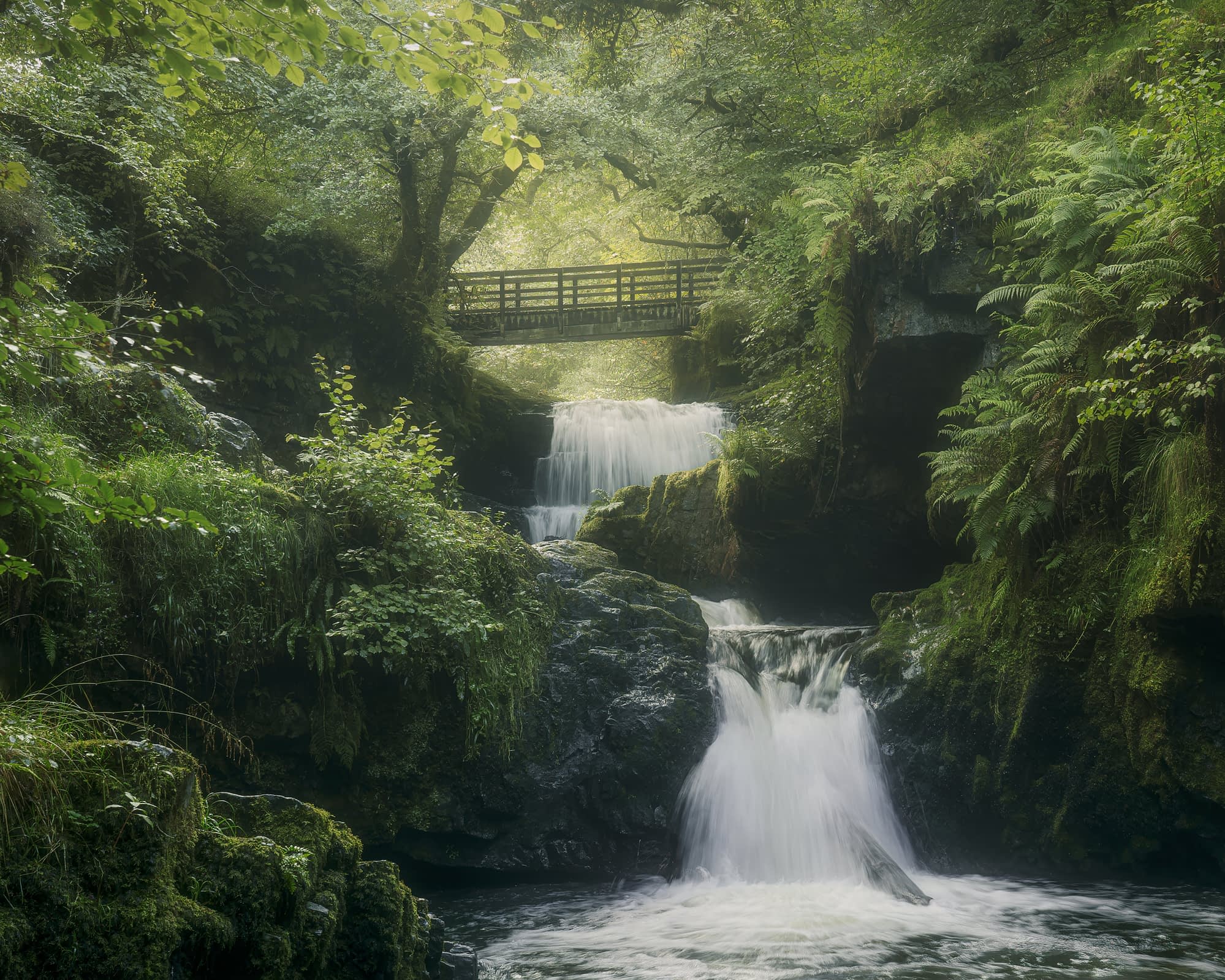 A long-exposure photograph of a fast-running woodland river in UK temperate rainforest, with texture retained in the moving water.