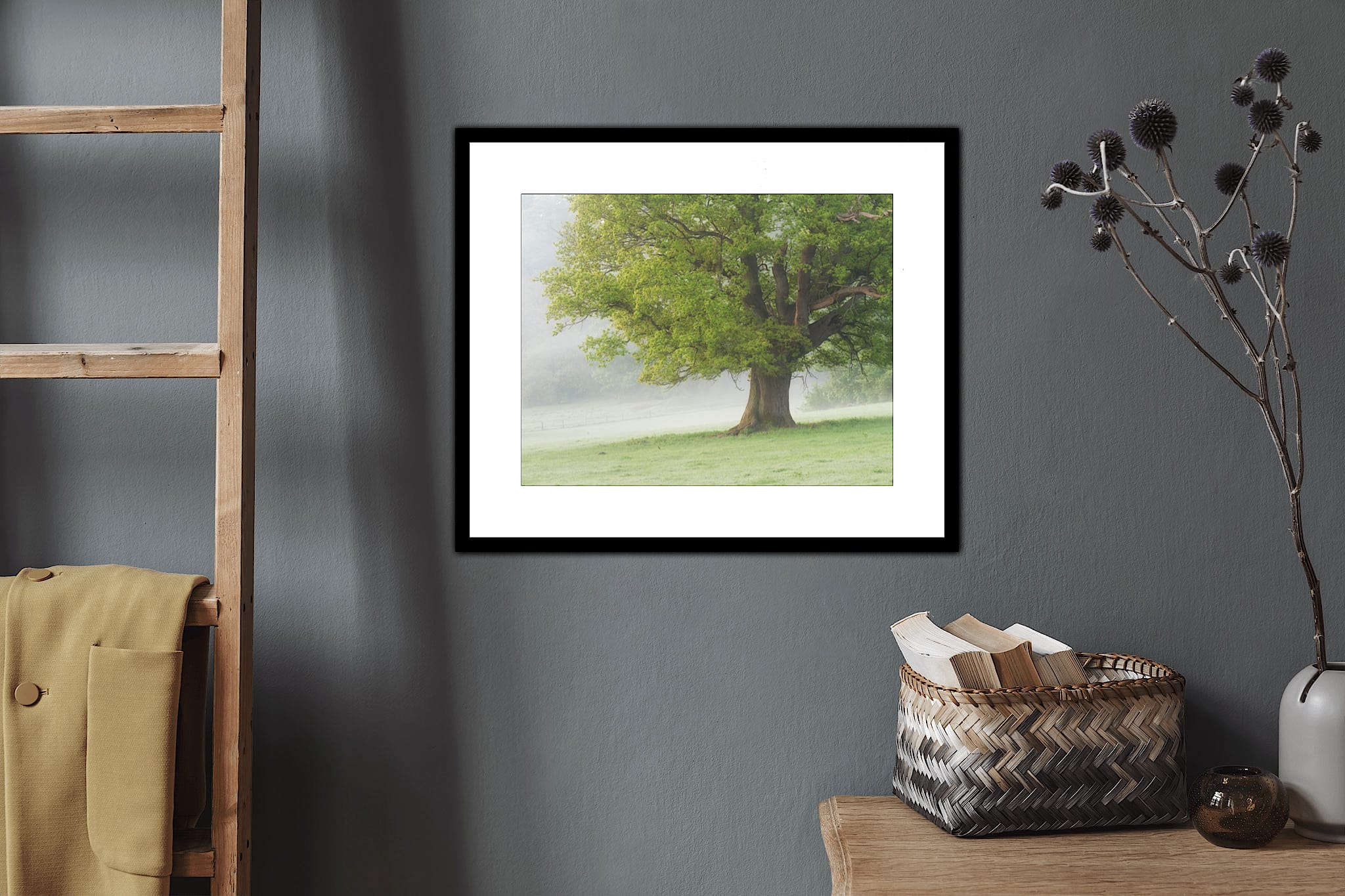 40 - 11x14 A framed photo of a large green tree in a misty field hangs on a grey wall near a wooden ladder, books, and dried thistles.