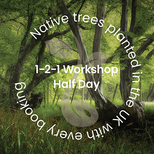 A lush green forest scene with tall trees and vibrant wildflowers, overlaid text reads: Native trees planted in the UK with every booking. Half-day 1-to-1 Woodland Photography Workshop. A semi-transparent stylized leaf icon is visible in the background.