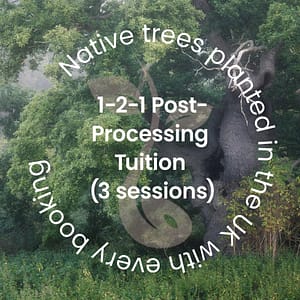 A towering tree with verdant green leaves stands proudly in the background. Overlaid text in a circular design reads: Native trees planted in the UK with every booking. The central text promotes: One-to-One Woodland Photography Editing Tuition Package (3 sessions), ideal for honing your woodland photography skills.