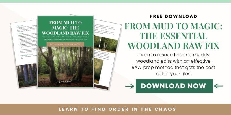 A promotional banner for a free download of “From Mud to Magic: The Essential Woodland RAW Fix.” The cover shows a woodland scene. Discover how to rescue muddy photographs when woodland edits go awry. A green “Download Now” button is displayed on the right.