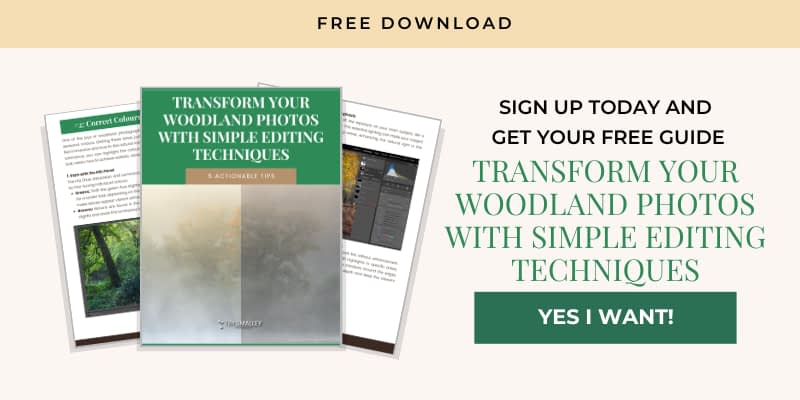 Promotional image offering a complimentary guide titled "Transform Your Woodland Photos with Simple Editing Techniques". Features a cover with a forest image, text on a dark green background, and a download button labelled "Yes, I Want!". Includes sample pages displaying editing tips and photo adjustments.