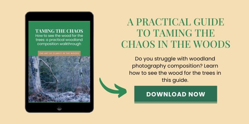 A tablet displays an e-book entitled “Taming the Chaos” featuring a woodland scene photographed under overcast lighting, ideal for learning how to simplify woodland scenes. Beside it, green text reads, “A Practical Guide to Taming the Chaos in the Woods.” Below is a green “Download Now” button.
