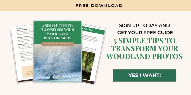 An advertisement showcasing a booklet titled "5 Simple Tips to Transform Your Woodland Photography." The flyer displays a misty forest scene on the cover. The text invites users to sign up for a free guide with a "Yes, I Want!" button below. The background includes a sample page featuring nature imagery.