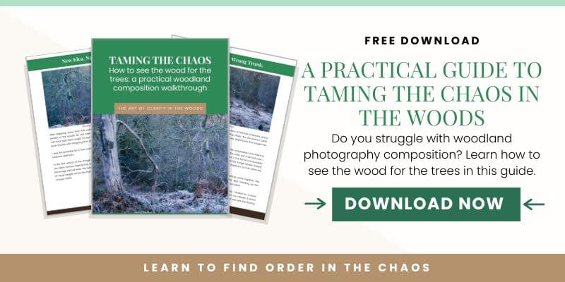 A digital promotional banner for a free PDF, Taming the Chaos: How to See the Wood for the Trees. Discover practical advice and expert tips to enhance your woodland photography composition. Features book cover, preview pages, and a green Download Now button.