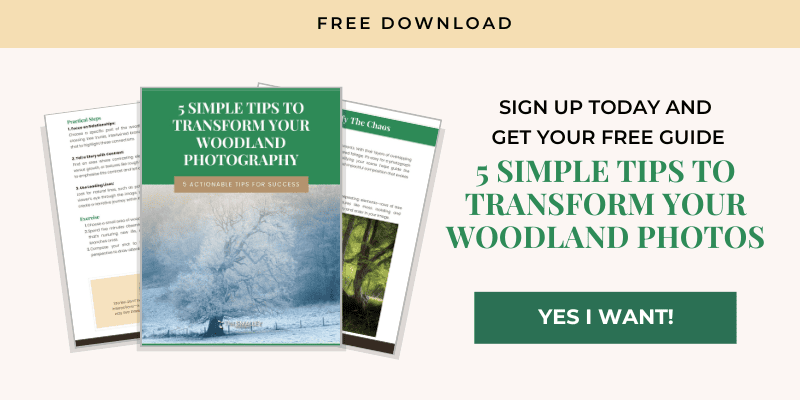 A promotional image offering a free guide titled "5 Simple Tips to Transform Your Woodland Photography" features a cover showing a snowy woodland scene. Beside it, there is a call to action: "Sign up today and get your free guide. Yes, I want it!" The text and visuals emphasise photography.