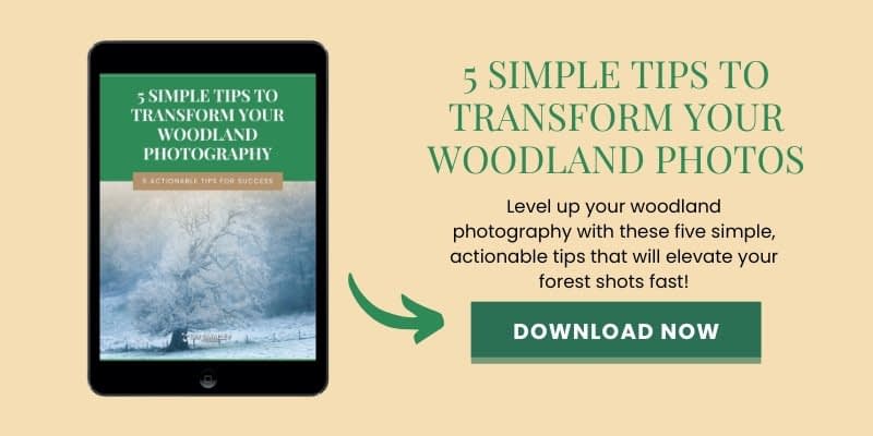 An image of a tablet displaying a book cover titled "5 Simple Tips to Transform Your Woodland Photography" with a nature scene. Text on the right reads: "5 Simple Tips to Transform Your Woodland Photos" and "Download Now" in a green button below.