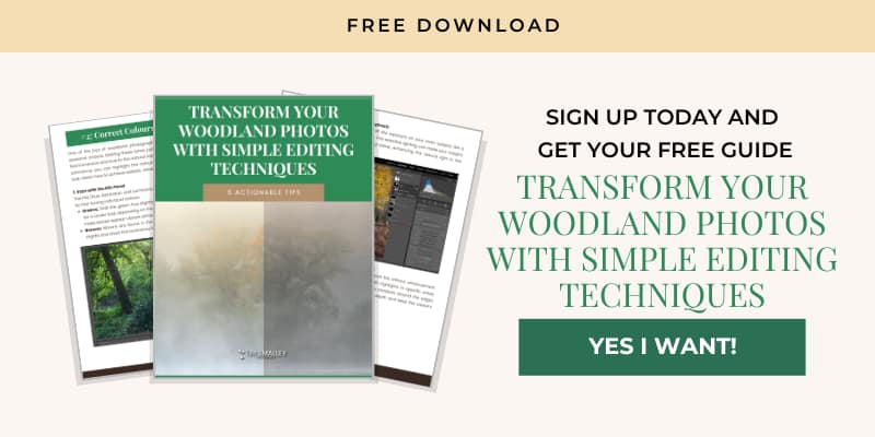 Promotional image offering a complimentary guide titled "Transform Your Woodland Photos with Simple Editing Techniques". Features a cover with a forest image, text on a dark green background, and a download button labelled "Yes, I Want!". Includes sample pages displaying editing tips and photo adjustments.