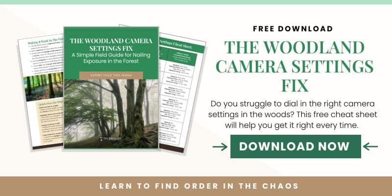 A promotional banner for “The Woodland Camera Settings Fix” free guide, featuring the cover and two sample pages with forest photographs. Discover the best camera settings for woodland photography. Download your cheat sheet now using the green “Download Now” button!.