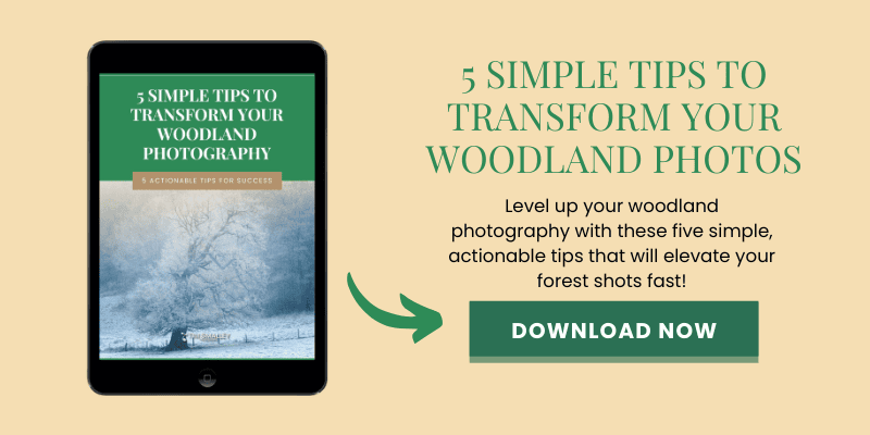 An image of a digital tablet showing a book cover titled 5 Simple Tips to Transform Your Woodland Photography. Next to the tablet, text on a beige background reads, Enhance your woodland photography with these five simple, actionable tips, and a green button says Download Now.