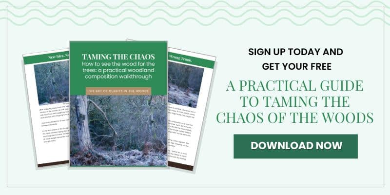 Image of a woodland photography guide entitled Taming the Chaos. Two sample pages and the cover, featuring a forest scene, are shown. Discover the best focal lengths for woodland photography—sign up today for your free practical guide. Download now.