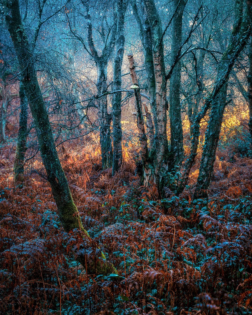 A scene with a splash of direct light, and the rest is reflected from the blue sky above