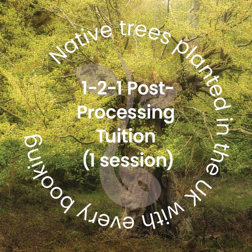 In the background, a tree with green leaves stands tall. Superimposed text forms a circular design around the tree, stating: "Native trees planted in the UK with every booking. One-to-one Woodland Photography Editing Tuition (one session).