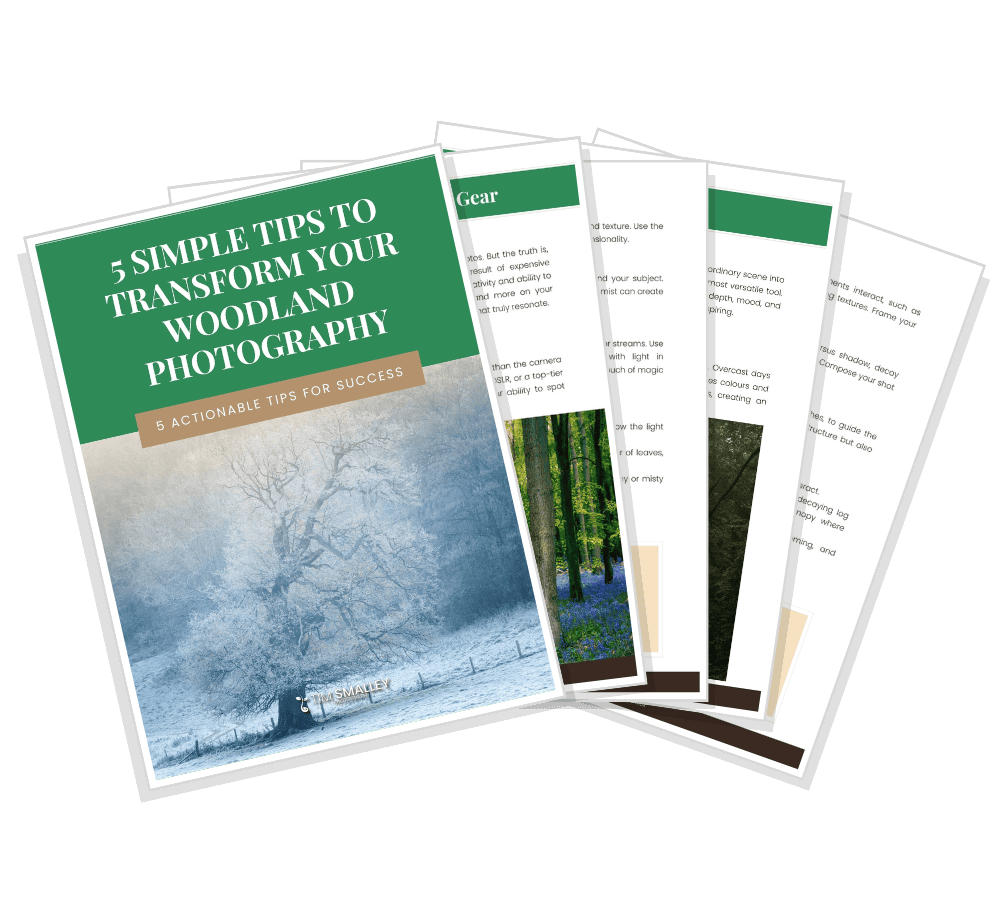 4 A promotional image for 5 Simple Tips to Transform Your Woodland Photography. The cover features a misty forest scene with a green and white text box. Four inner pages, fanned out, display tips and illustrations. The content is aimed at enhancing photography skills.